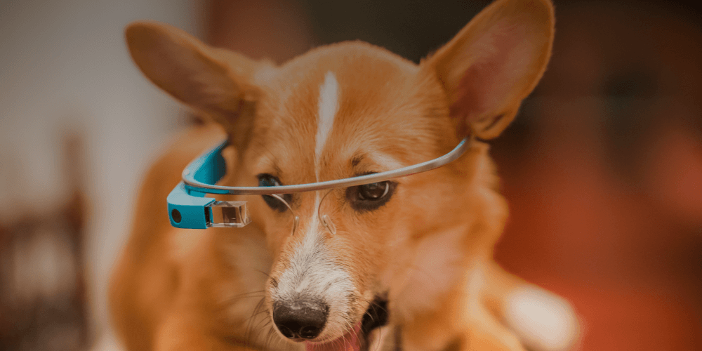 Pick by Vision: Kommisionierungssoftware für die Google Glass
