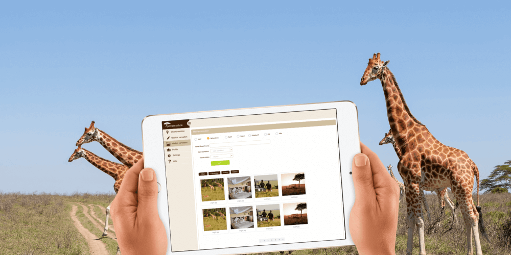 App- und Webentwicklung: Ein Reiseverkaufs-Tool für Private Safaris